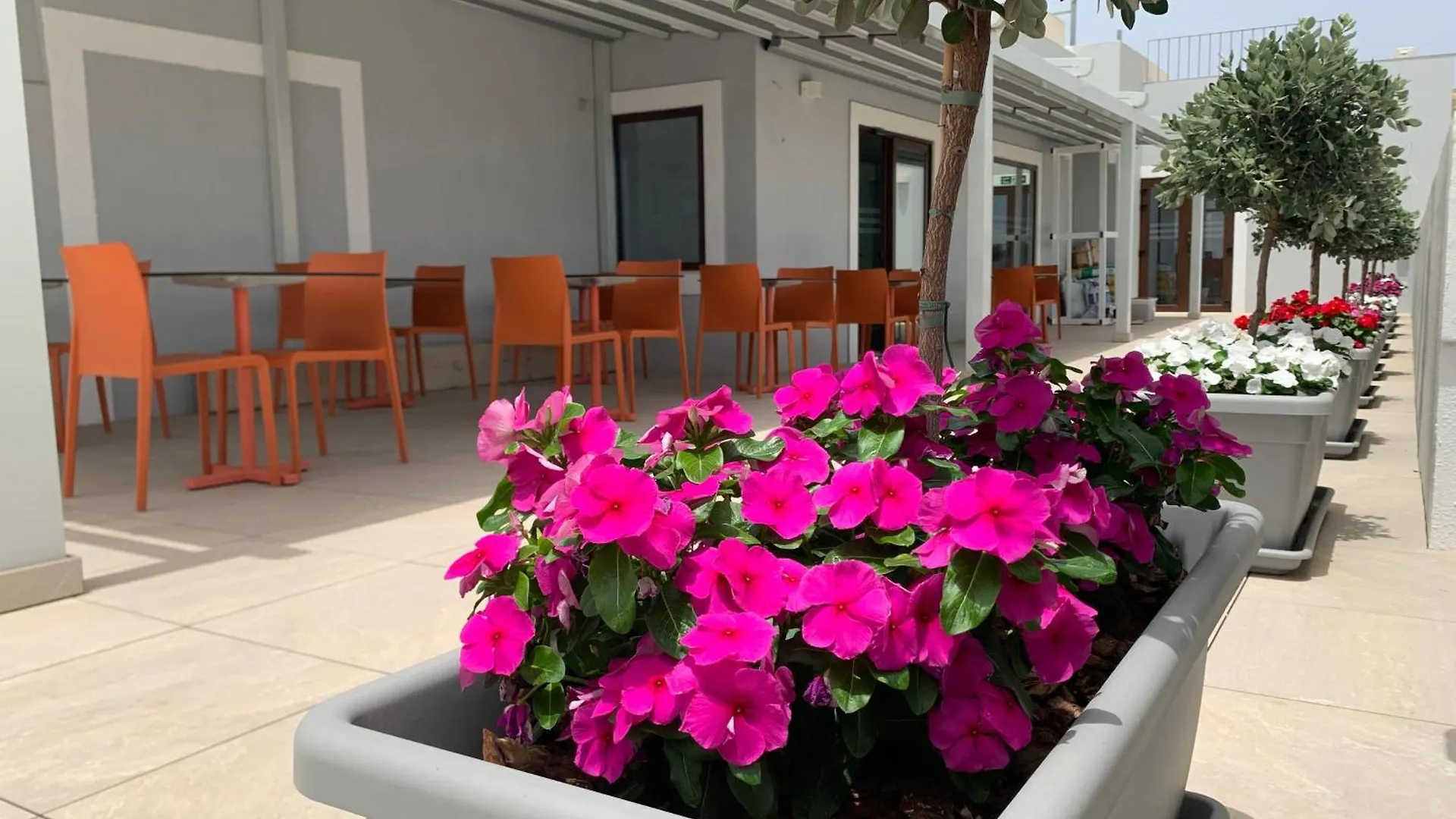 Duncan Guesthouse Marsaxlokk Malta